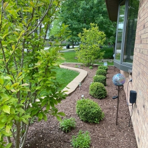 Photo of Complete Lawn And Snow Services
