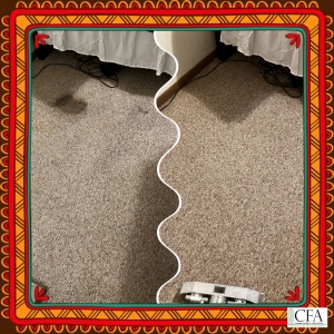 Photo of Milwaukee Carpet Cleaning