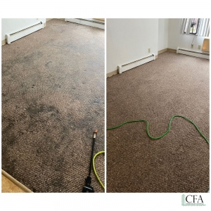 Photo of Milwaukee Carpet Cleaning
