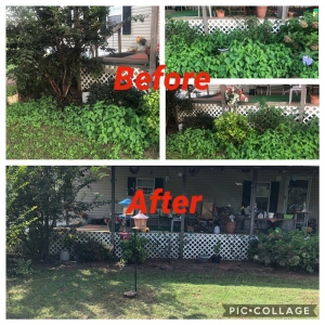 Photo of Elite Lawn Pros