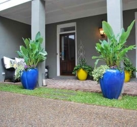 Photo of Charleston Plantworks LLC