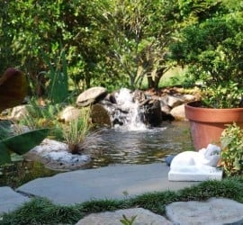 Photo of Charleston Plantworks LLC