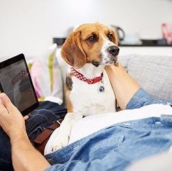 Photo of Pet Stop of Maryland