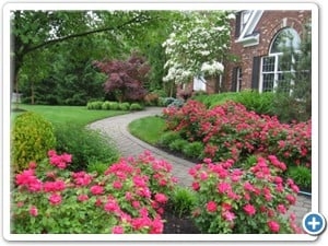 Photo of Preston Landscaping