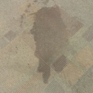 Fishers Oxi Fresh Carpet Cleaning