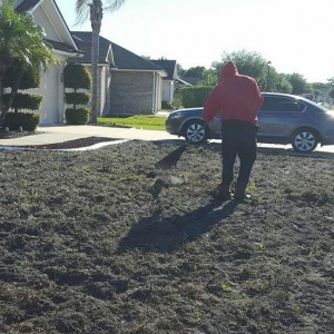 Photo of Lou's Quality Lawn Services