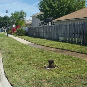 Photo of Lou's Quality Lawn Services