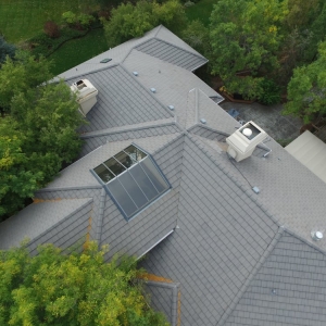 Photo of Forest Hills Restoration