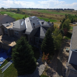 Photo of Forest Hills Restoration