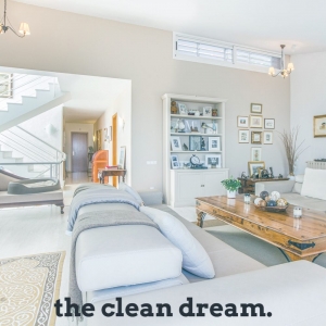Photo of The Clean Dream