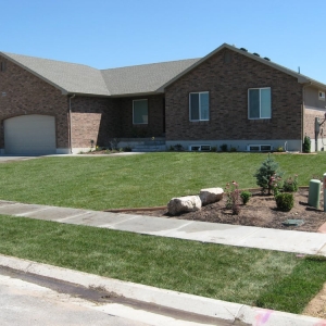 Photo of Evergreen Sod