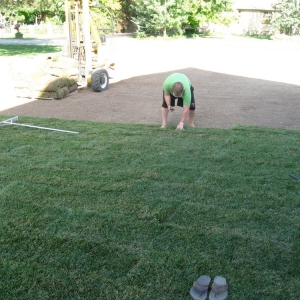 Photo of Evergreen Sod