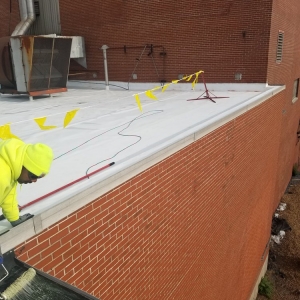 Photo of Tough Enough Construction
