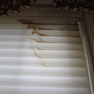 Photo of Lazarian Carpet & Drapery Care