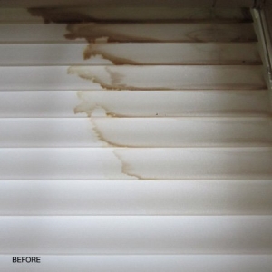 Photo of Lazarian Carpet & Drapery Care