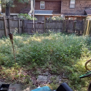 Photo of Williams Cleaning & Junk Removal Services