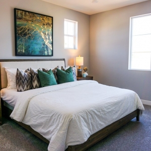 Photo of BlueGrape Staging and Design