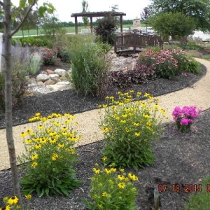 Photo of Custom Landscape Contractors