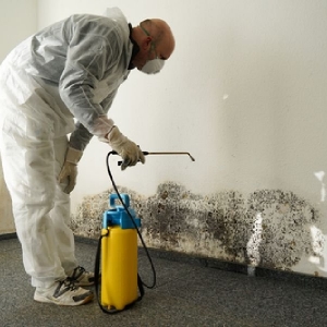 Photo of 24x7 Water damage restoration Highland Park
