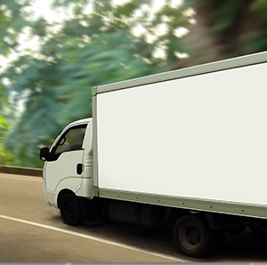Photo of Big Buck Movers