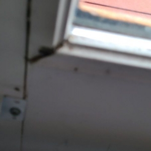 Photo of More Glass