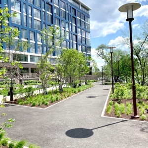Photo of Watermark at Buzzard Point