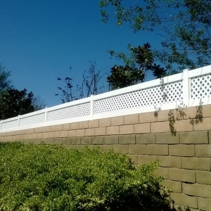 Photo of American Vinyl