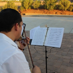 Photo of Violines Kamayd