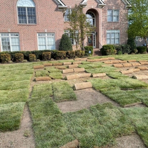 Photo of Detailed Lawncare Service
