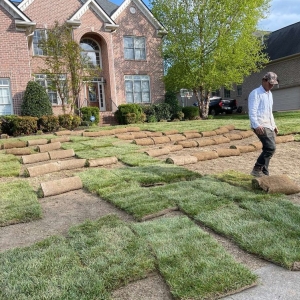 Photo of Detailed Lawncare Service