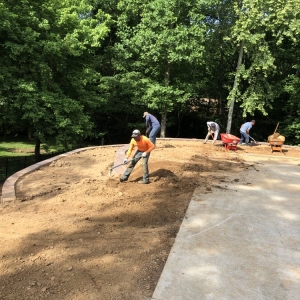 Photo of Detailed Lawncare Service