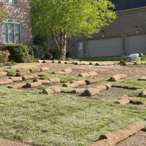 Photo of Detailed Lawncare Service