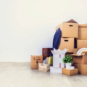 Photo of Cerati Logistics & Moving