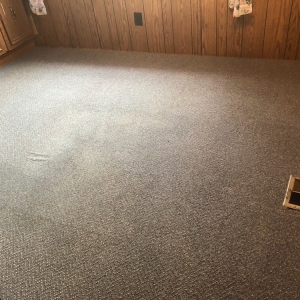 Photo of Carpet Care Plus Inc