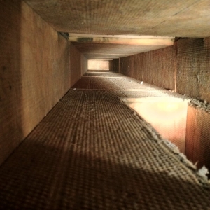 Photo of Carpet Care Plus Inc