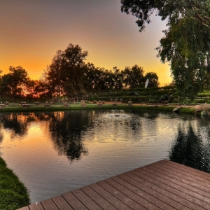 Photo of Lake oak meadows