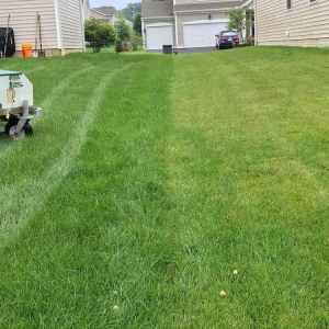 Photo of Lawn Doctor - Columbus