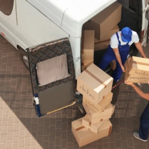 Photo of Regal Moving and Storage