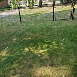 Photo of Hudson's Lawn Care And Landscaping