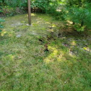 Photo of Hudson's Lawn Care And Landscaping
