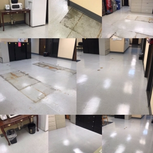 Photo of APMC Janitorial