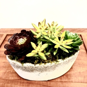 Photo of Del Mar Floral & Gifts