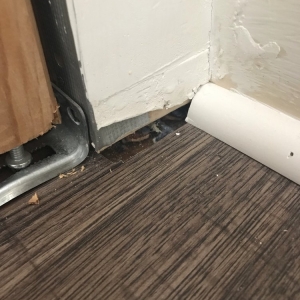 Photo of Magic Carpet & Flooring