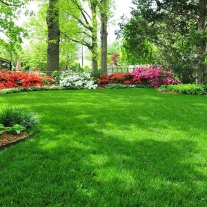 Photo of Tennessee Lawn Care Services