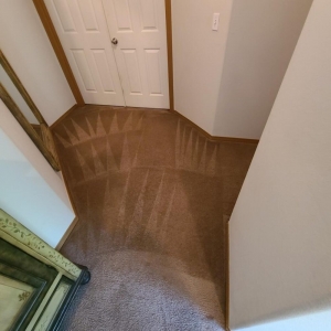 Photo of Be Green Carpet Cleaning - Denver