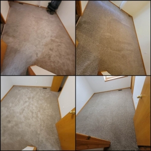Photo of Be Green Carpet Cleaning - Denver