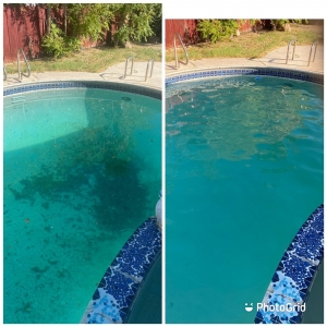 Photo of Clear Water Pool Service