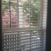 Photo of Organic Cleaning Service