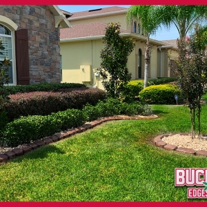 Photo of Buckeye Edgescapes