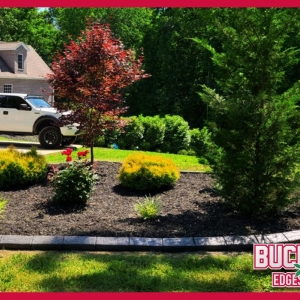 Photo of Buckeye Edgescapes